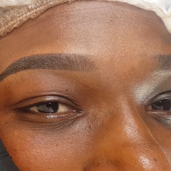 Freshly completed ombré powder brows