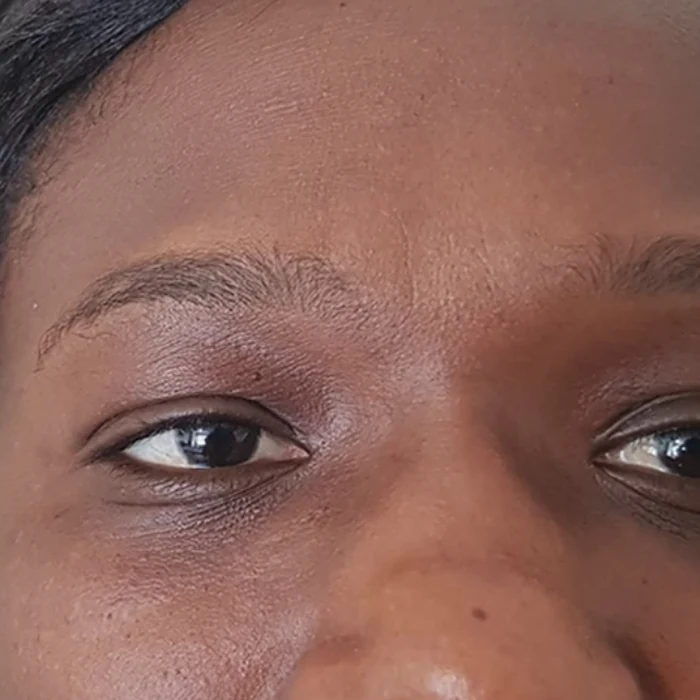 Natural brows before ombré powder brow treatment